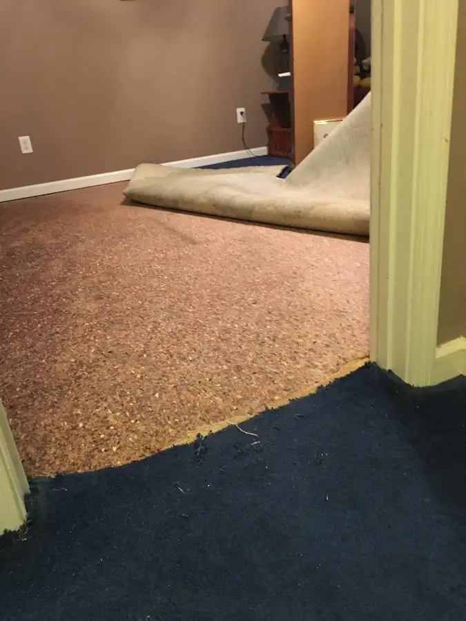Carpet pad removal revealing water damage during Water Mitigation Services in Mount Lebanon
