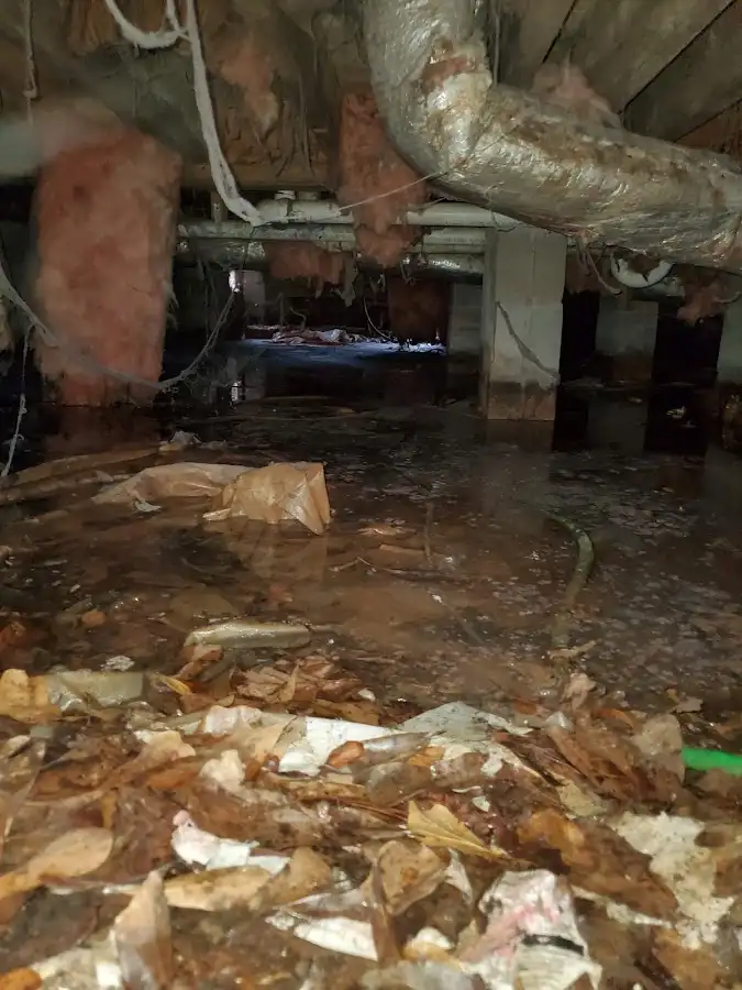 Crawl space flood assessment for Commercial Water Damage Restoration in Mount Lebanon